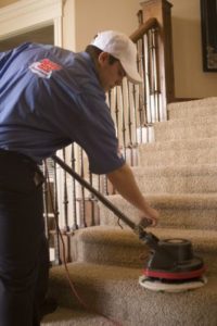 windsor carpet cleaners