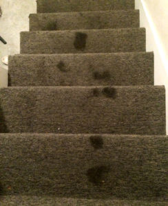 stair stains before